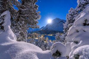 Fotografie de artă Snowy forest lit by moon in winter, Switzerland, Roberto Moiola / Sysaworld, (40 x 26.7 cm)