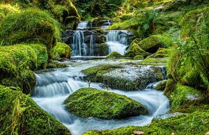 Fotografie Scenic view of waterfall in forest,Newton, Ian Douglas / 500px