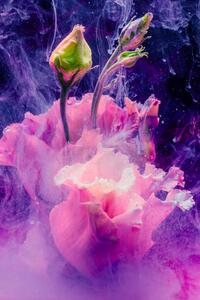 Fotografie de artă Flower in colourful water, Lorado, (26.7 x 40 cm)