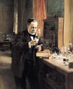 Fotografie de artă Louis Pasteur in his Laboratory, 1885, Edelfelt, Albert Gustaf Aristides, (35 x 40 cm)