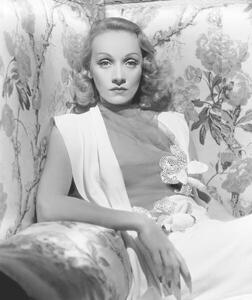 Fotografie de artă Marlene Dietrich, (35 x 40 cm)