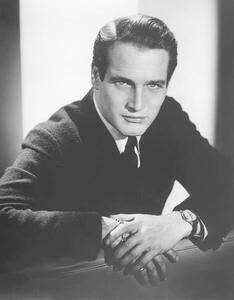 Fotografie Paul Newman In The 50'S, (30 x 40 cm)