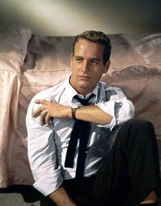 Fotografie American Actor Paul Newman C. 1958