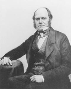 Fotografie Portrait of Charles Darwin, 1854, English Photographer,, (30 x 40 cm)