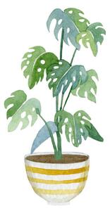 Ilustrație Watercolor green floral house plants illustration.Hand, Anna Tkachenko
