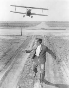 Fotografie de artă Cary Grant, (30 x 40 cm)