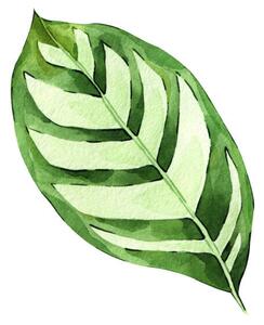 Ilustrație Watercolor hand painted green tropical leaves,, DZHAMILIA ABDULAEVA