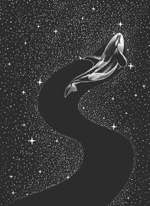 Ilustrare Starry Orca, Aliriza Cakir, (30 x 40 cm)