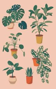 Ilustrație houseplants set, Alina Beketova, (26.7 x 40 cm)