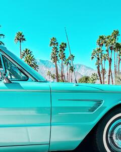 Fotografie de artă Teal Thunderbird in Palm Springs, Tom Windeknecht, (30 x 40 cm)