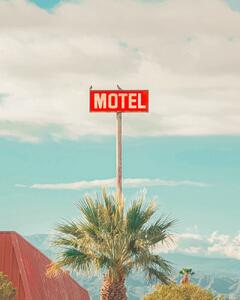 Fotografie de artă This Motel is for the Birds, Tom Windeknecht, (30 x 40 cm)
