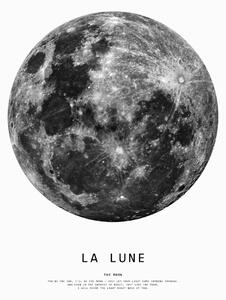 Ilustrare moon1, Finlay & Noa, (30 x 40 cm)