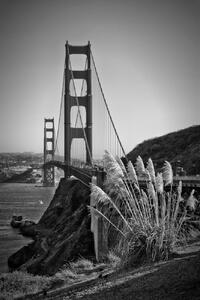 Fotografie de artă San Francisco Golden Gate Bridge, Melanie Viola, (26.7 x 40 cm)