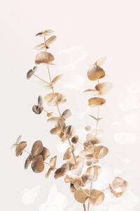 Ilustrare Eucalyptus Creative Gold 03, Studio Collection, (26.7 x 40 cm)