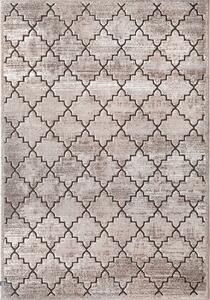 Covor Modern, Fashion 32019, Maro, Diverse Dimensiuni, 2048 gr mp