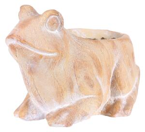 Concrete packaging Frog, MgO ceramică, 32 x 23 x23 cm