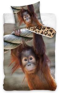 Lenjerie de pat din bumbac Monkey Orangutan, 140 x 200 cm, 70 x 90 cm