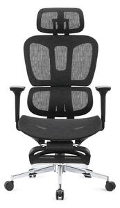 ERGOTHRONE Scaun ergonomic, cotiere 2D, suport picioare, Full Mesh, Negru