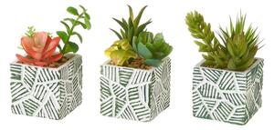 Plante artificiale 3 buc. (înălțime 12 cm) Cactus – Casa Selección