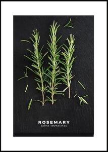Poster cu ramă 50x70 cm Rosemary – Styler