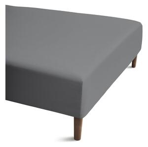 Cearceaf gri din bumbac percal cu elastic 90x200 cm Percale – JUNA