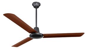 Ventilator de tavan Globo 03815 FERRO