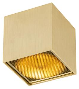 Design spot gold - Box Honey