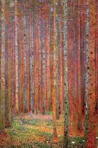 Poster Pădure de brad, (61 x 91.5 cm)