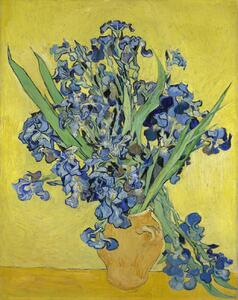Vincent van Gogh - Artă imprimată Irises, 1890, (30 x 40 cm)