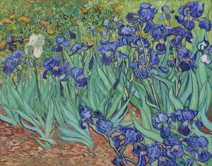 Gogh, Vincent van - Artă imprimată Irises, 1889, (40 x 30 cm)