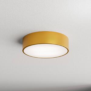 TEMAR LIGHTING Plachetă Cleo 300, IP54, Ø 30 cm auriu, reglabil, Auriu / Alamă, Camera de zi / sufragerie, Metal