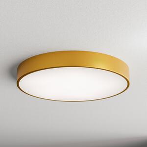 TEMAR LIGHTING Cleo plafonieră, Ø 60 cm, IP20, aurie, metal, E27, reglabil, Auriu / Alamă, Camera de zi / sufragerie, Sticlă, Modern