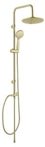 Set de duș auriu mat din oțel inoxidabil 101 cm Young Line – Wenko