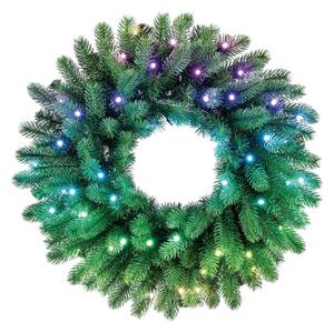 Twinkly GD20P4425P00 - Ghirlandă LED RGB reglabilă 50xLED, pr. 60 cm, Wi-Fi
