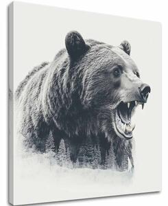Imaginea pe panza Bear in Fog - Forest Motif