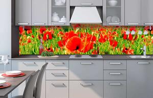 Fototapet pentru bucătărie - mac roșii 260 x 60 cm