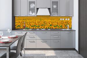 Fototapet pentru bucătărie - rânduri de floarea soarelui 260 x 60 cm