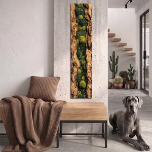 DUBLEZ | Panou decorativ - Mușchi în îmbrățișarea lemnului | Imprimare UV premium