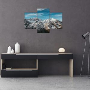 Tablou cu vârfuri înzăpeziți, Fiordland (90x60 cm)