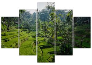 Tablou cu terasele cu orez Tegalalang, Bali (150x105 cm)