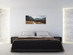 Tablou - Poteca în valea muntelui Mt. Cook (120x50 cm)