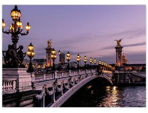 Tablou - Podul lui Alexandru al III.-lea din Paris (70x50 cm)