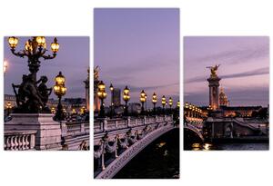 Tablou - Podul lui Alexandru al III.-lea din Paris (90x60 cm)