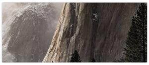 Tablou din valea Yosemite parcul național, SUA (120x50 cm)