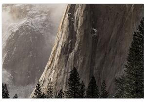 Tablou din valea Yosemite parcul național, SUA (90x60 cm)