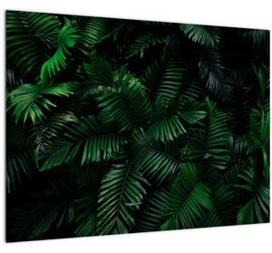 Tablou pe sticlă - Păpădii tropicale (70x50 cm)