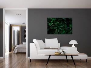 Tablou - Păpădii tropicale (90x60 cm)