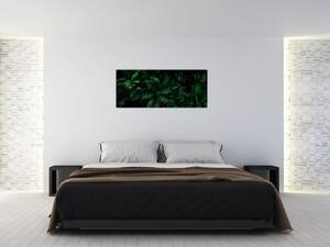 Tablou - Păpădii tropicale (120x50 cm)