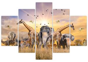 Tablou - Animae din Africa (150x105 cm)