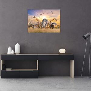 Tablou - Animae din Africa (70x50 cm)